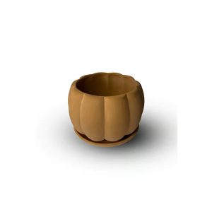 Pumpkin Flower Pot with Plate